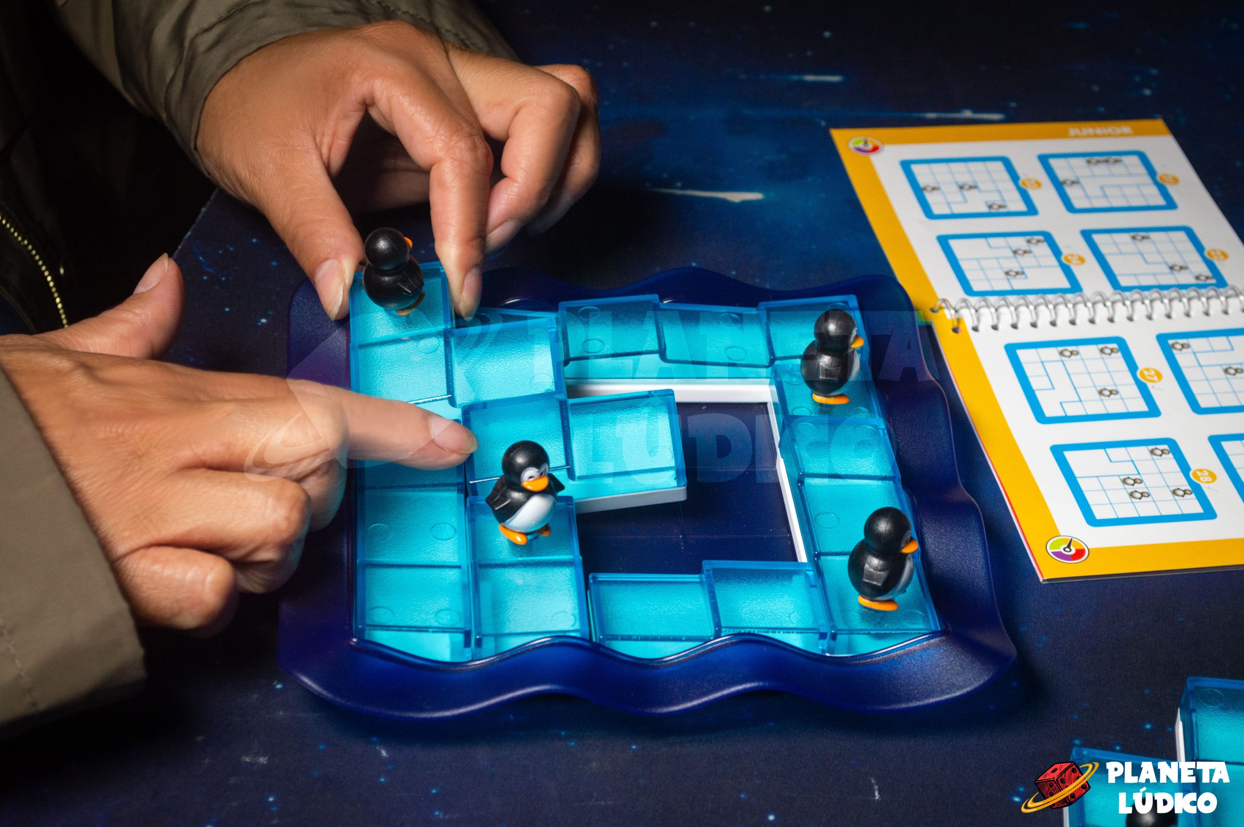 Pingüinos en el Hielo - Imagen 5