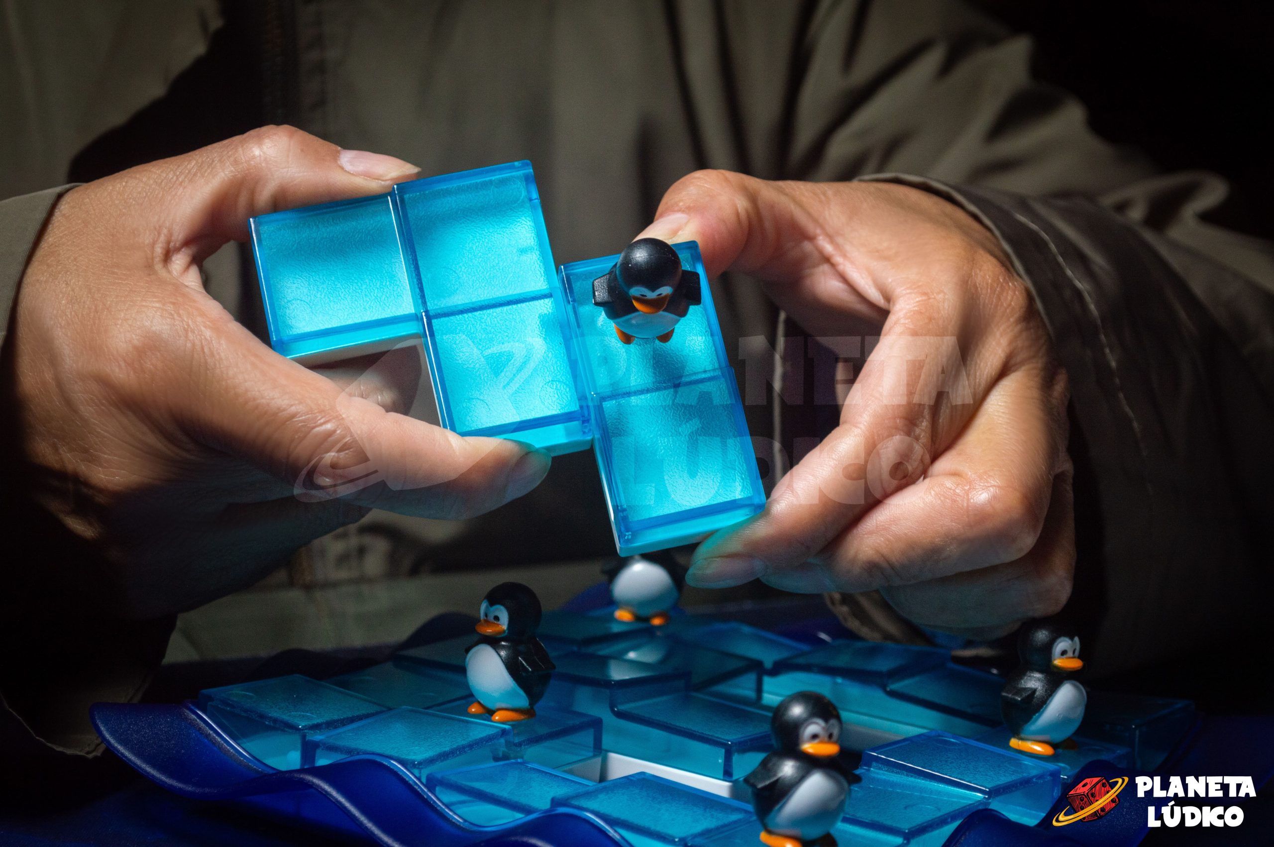 Pingüinos en el Hielo - Imagen 7
