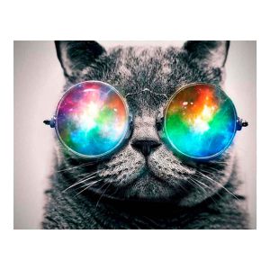 Diamond Painting - Psychedelics Cat 40 x 50 cm