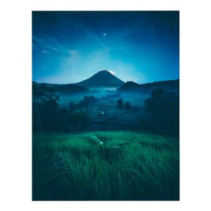 Diamond Painting - Mistful Night 40 x 50 cm